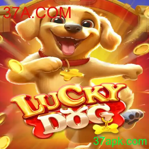 Explorando o Fascinante Mundo de LuckyDog: Regras e Introdução com 37A.COM